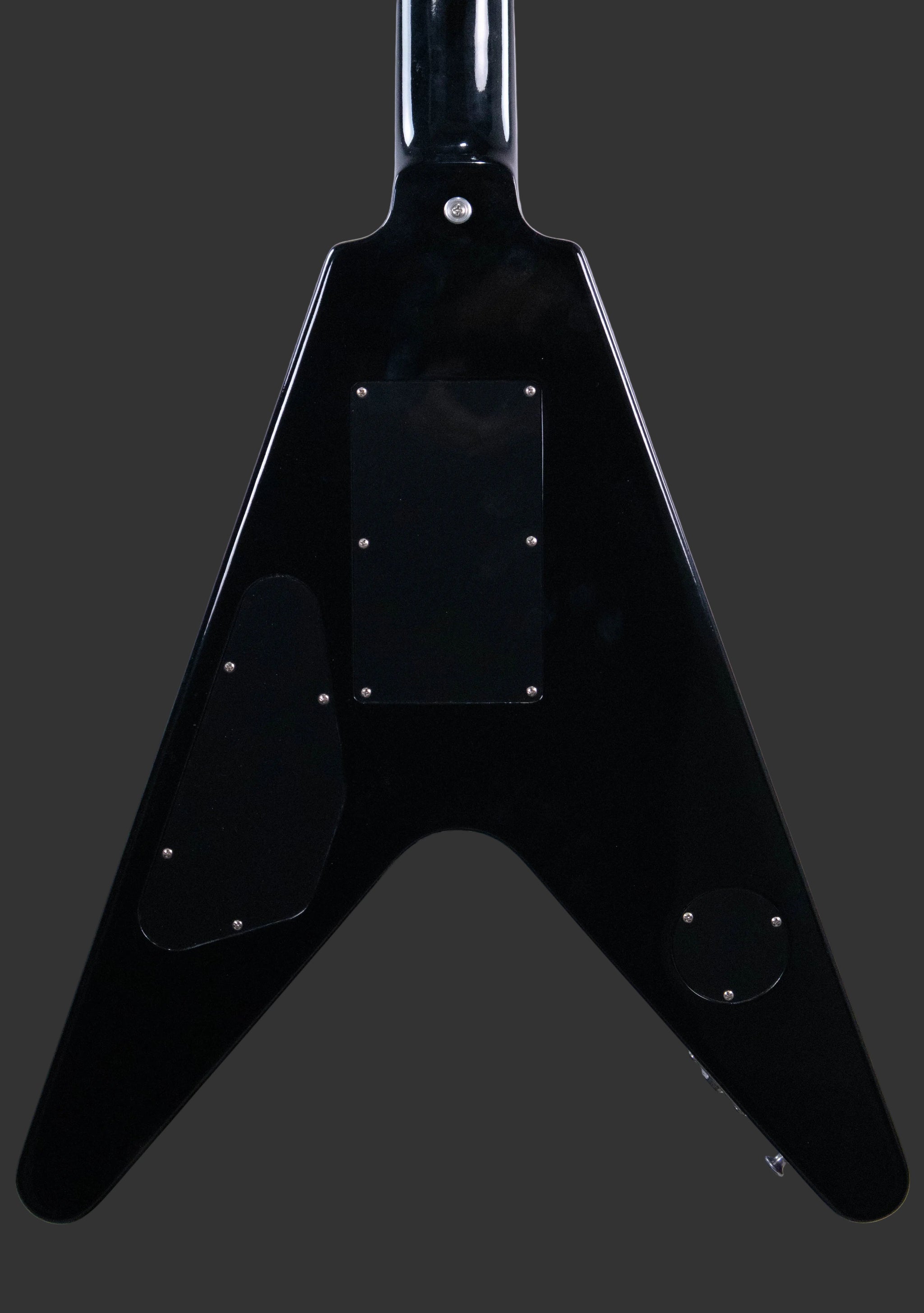 Closer back view of the body and rear covers