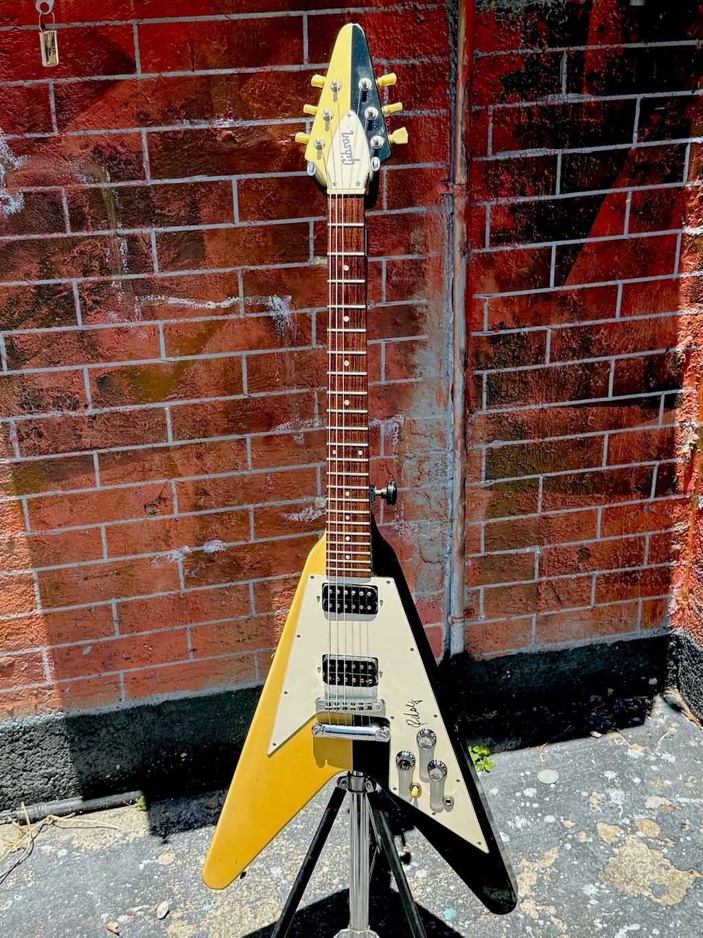 Full front view of the split-finish Rudolf Schenker Flying V