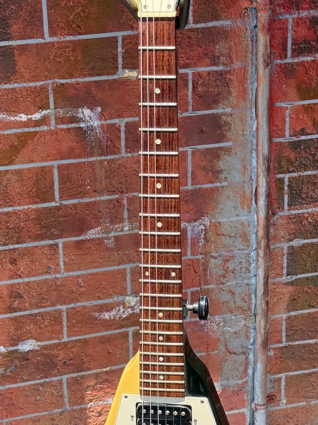 Fingerboard and neck detail