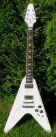 1979 Bloc Inlay Flying V