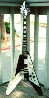 Designer series & Artist V's - Michael Schenker -